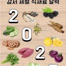 영양 가득! 강서 제철 식재료 달력(2025) 이미지