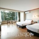 베니키아 호텔 투어코리아