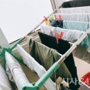 빨래박사 이미지