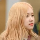 로제헤어 - 은평구 | 로제헤어