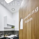 햇빛동물병원 | 은평구 진광동 동물병원 서울햇빛동물병원 위치 오는길 후기
