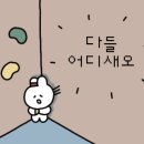 퍼즐클라이밍