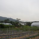 승원농장 이미지