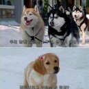 보따리
