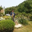 우암치과 이미지