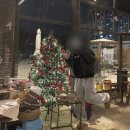 [마산] 폐공장 개조한 신상카페 솔직후기 ‘트라토리아’