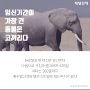 과학아 과학아 어디에 있니? 이미지