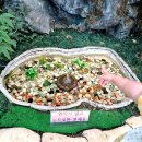 부평숲 인천나비공원 전시실 | 부평 숲 인천 나비공원 아이와 가볼만한곳 나들이