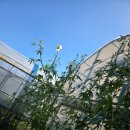 구월자동차공업사 이미지