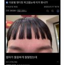 헤어갤러리 이미지