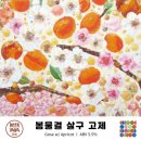 봄물결 티스토리