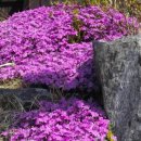 (주)혜경 이미지