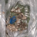 진동농협 하나로마트 이미지