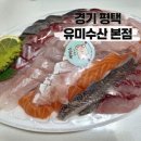 유미수산 이미지