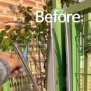 화접초등학교(병설) 이미지