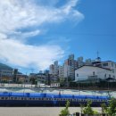 금탑 카센타 이미지