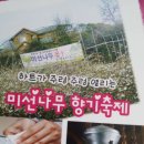 나무향기펜션2 이미지