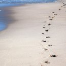 주식회사 우리가제약 이미지