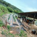 호재농장 이미지