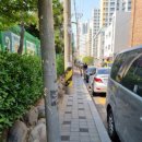 신현여자중학교 이미지