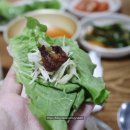 황소고집 이미지