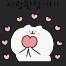 파크셀프세차타운 이미지