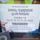 다사랑목장 | [안성 가볼만한곳] 안성 팜랜드, 가을 인생샷도 찍고 피크닉하고 온 후기(feat.토끼띠 이벤트)