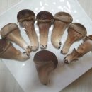 성산농장 이미지