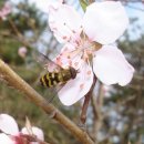 강릉제일고등학교 이미지