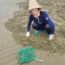 나리와꽃창포 이미지