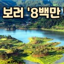 마리 태양광발전소 이미지