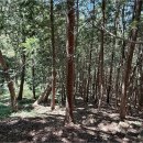 상노농장 이미지