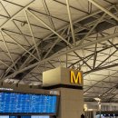 타라의정원(대왕비빔밥) | 쿠알라룸푸르 4박 5일 말레이시아 항공 후기, 승무원한테 사육 당하기