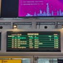 오케이에프티 | 내 꿈은 락스타 • 이재모피자 부산역점, 페스티벌, 해운대
