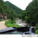 찬물내기 유원지 이미지