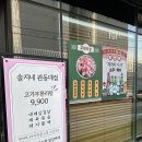 솔지네관동대점