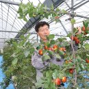 옥천계란