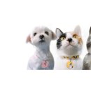 치타박스 이미지