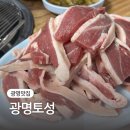 토성생고기 | 광명보양식 오리고기 맛집 광명토성 후기