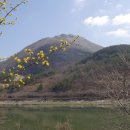 오산(鰲山)의 사성암과 노란 산수유 이미지