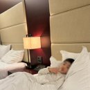 롯데 | 브리브 광주 바이 롯데 조식 후기 파라뷰 레스토랑 (시간, 메뉴사진)