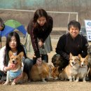 러브멍멍 이미지