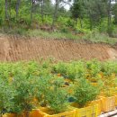 부농농약사 이미지