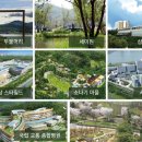양수다정의원 네이버블로그