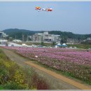 경포저류지 이미지