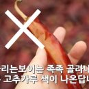 희나리농장 이미지