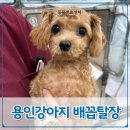 온동물의료센터 이미지