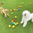 제제네멍치원(성내점) 이미지