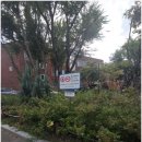 지산2동 행정복지센터 이미지