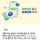 법인플레르